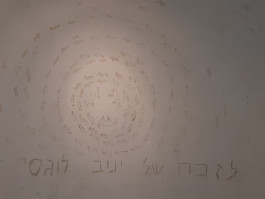 Shira Gepstein